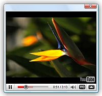 How To Play Video Large Web Video Lightbox